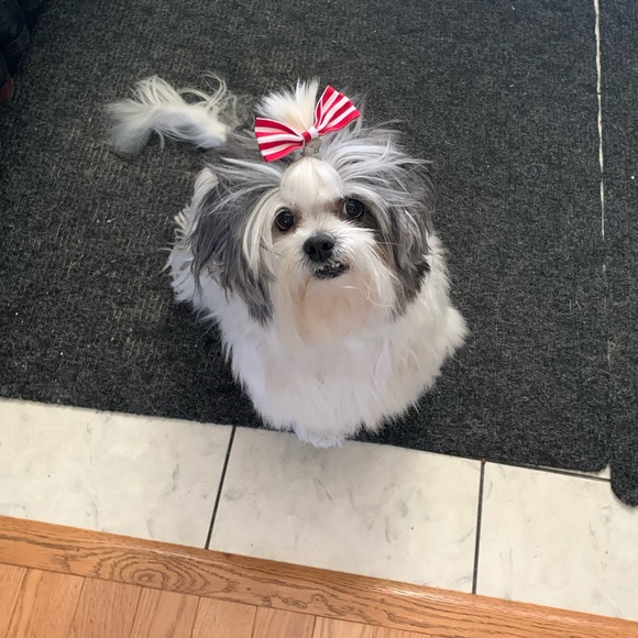 Meet your Posher, Elliette - Picture 6 of 7